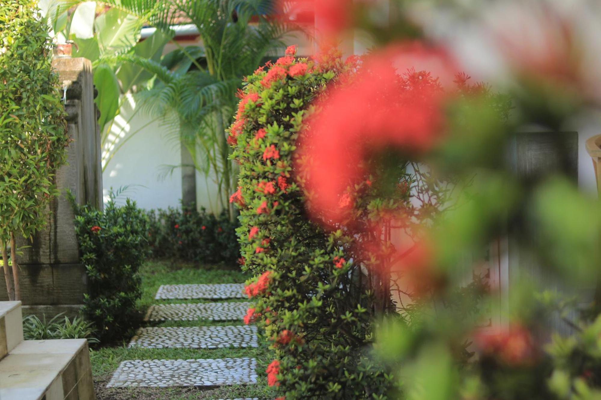 Villa Seruni Lovina ภายนอก รูปภาพ
